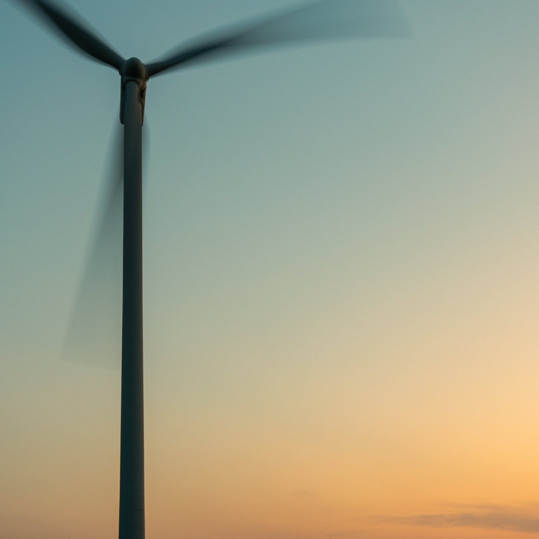 The cover art for Plain.